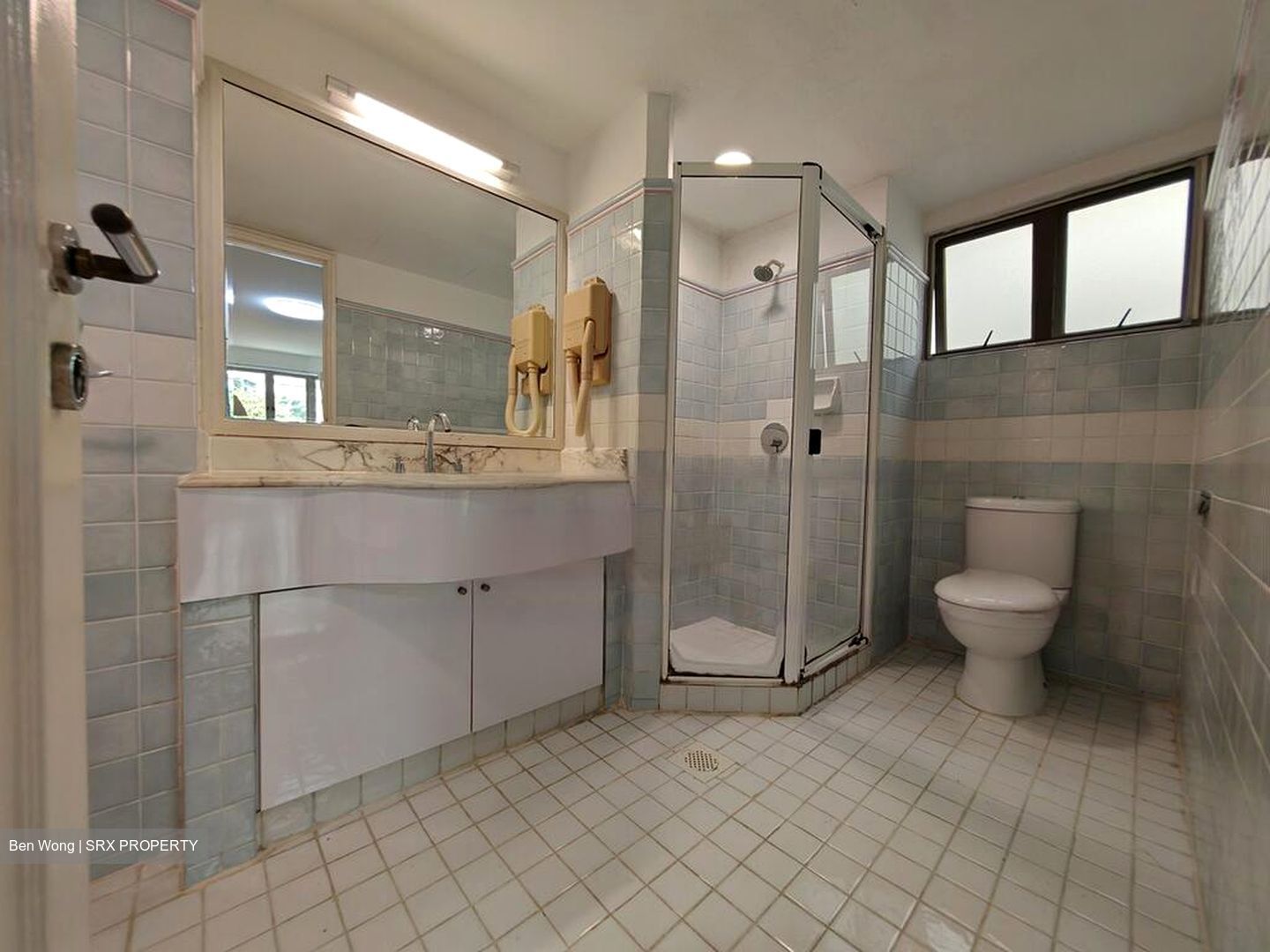 Cavenagh Lodge (D9), Apartment #436127011
